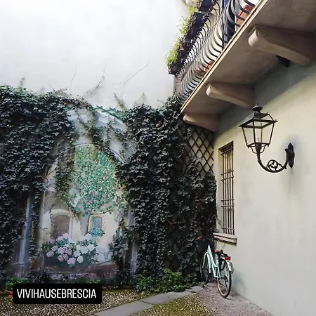 Vivi House *