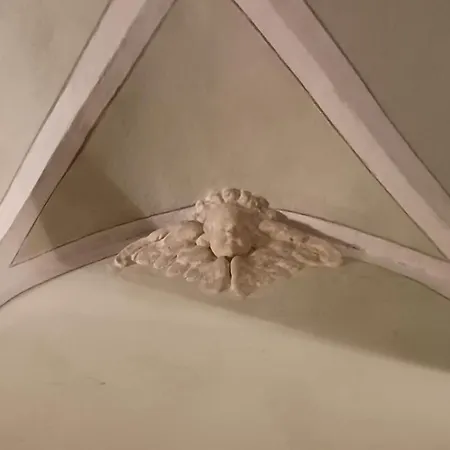Vivi House